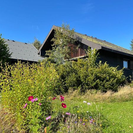 Holiday Home Rechbergblick - Beu302 By Interhome Bernau im Schwarzwald Kültér fotó