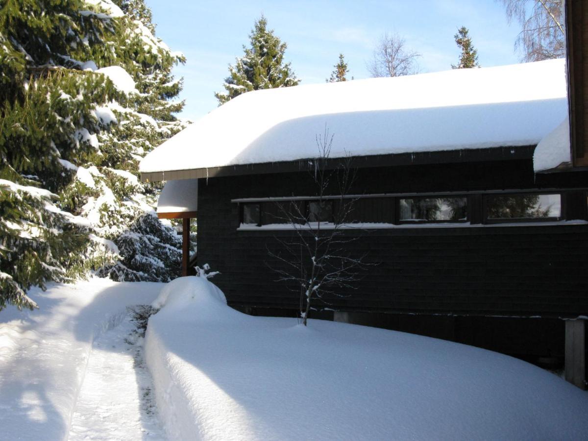 Holiday Home Rechbergblick - Beu302 By Interhome Bernau im Schwarzwald Kültér fotó
