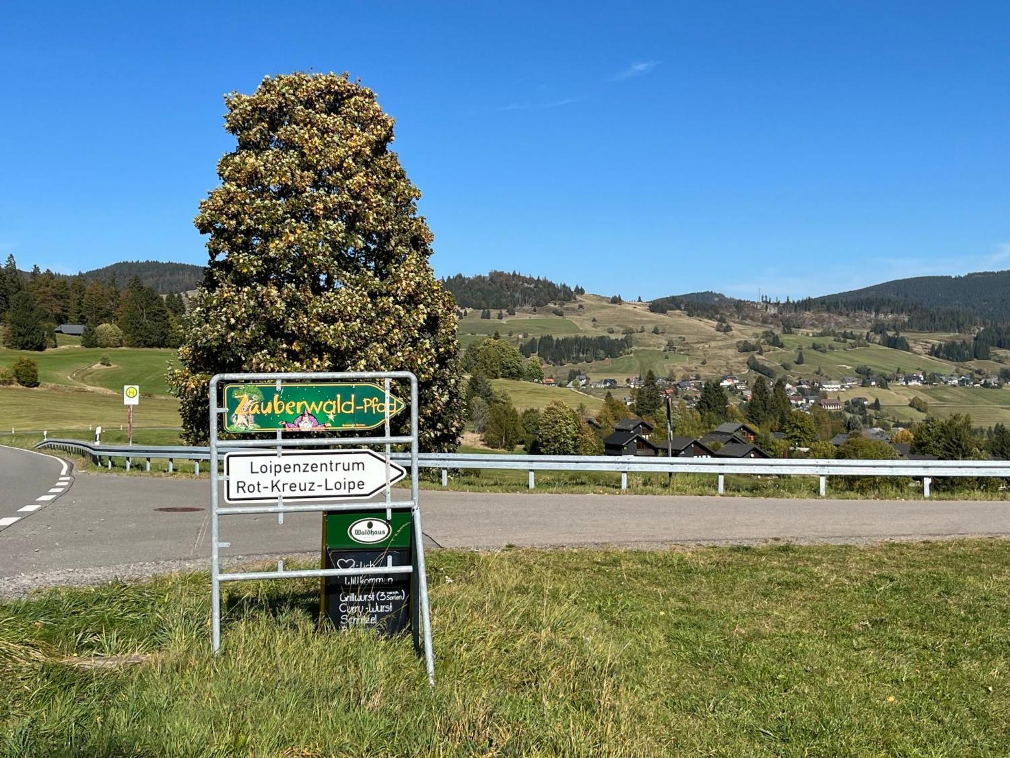 Holiday Home Rechbergblick - Beu302 By Interhome Bernau im Schwarzwald Kültér fotó