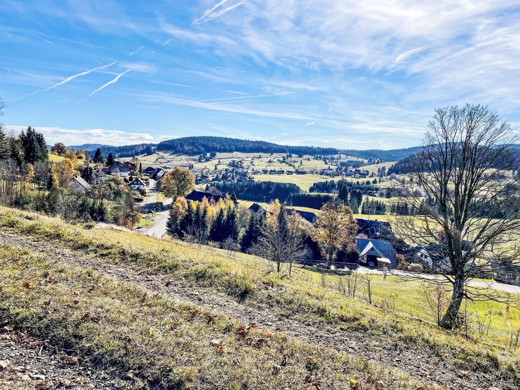 Holiday Home Rechbergblick - Beu302 By Interhome Bernau im Schwarzwald Kültér fotó