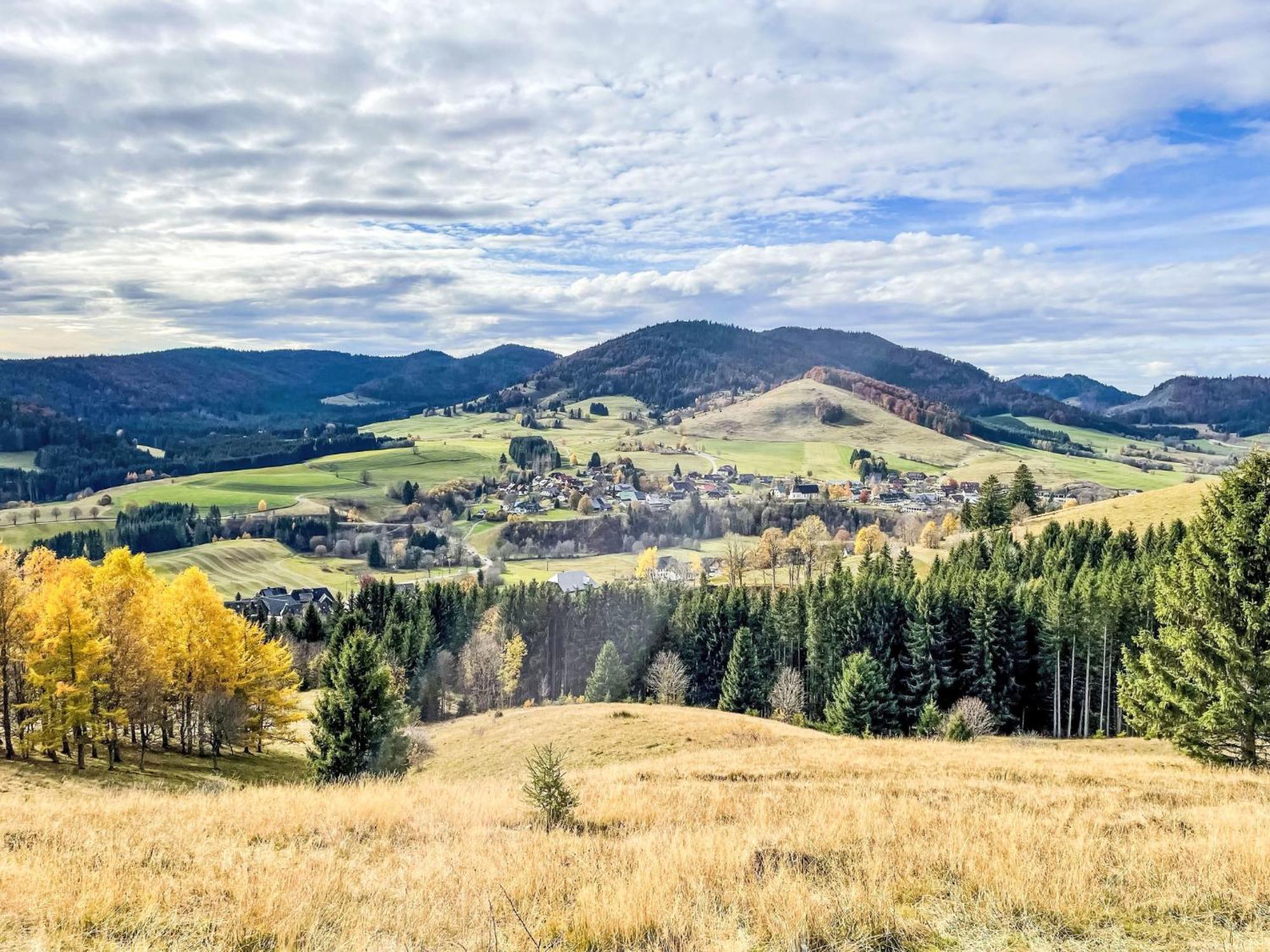 Holiday Home Rechbergblick - Beu302 By Interhome Bernau im Schwarzwald Kültér fotó